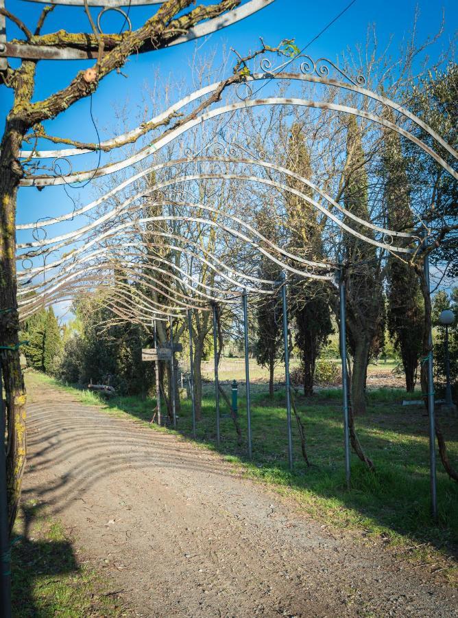 Agriturismo Le Biricoccole Vada Luaran gambar