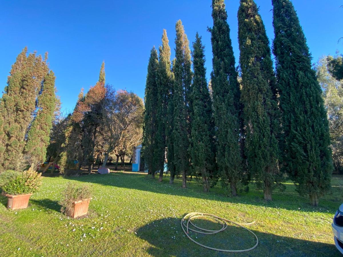 Agriturismo Le Biricoccole Vada Luaran gambar