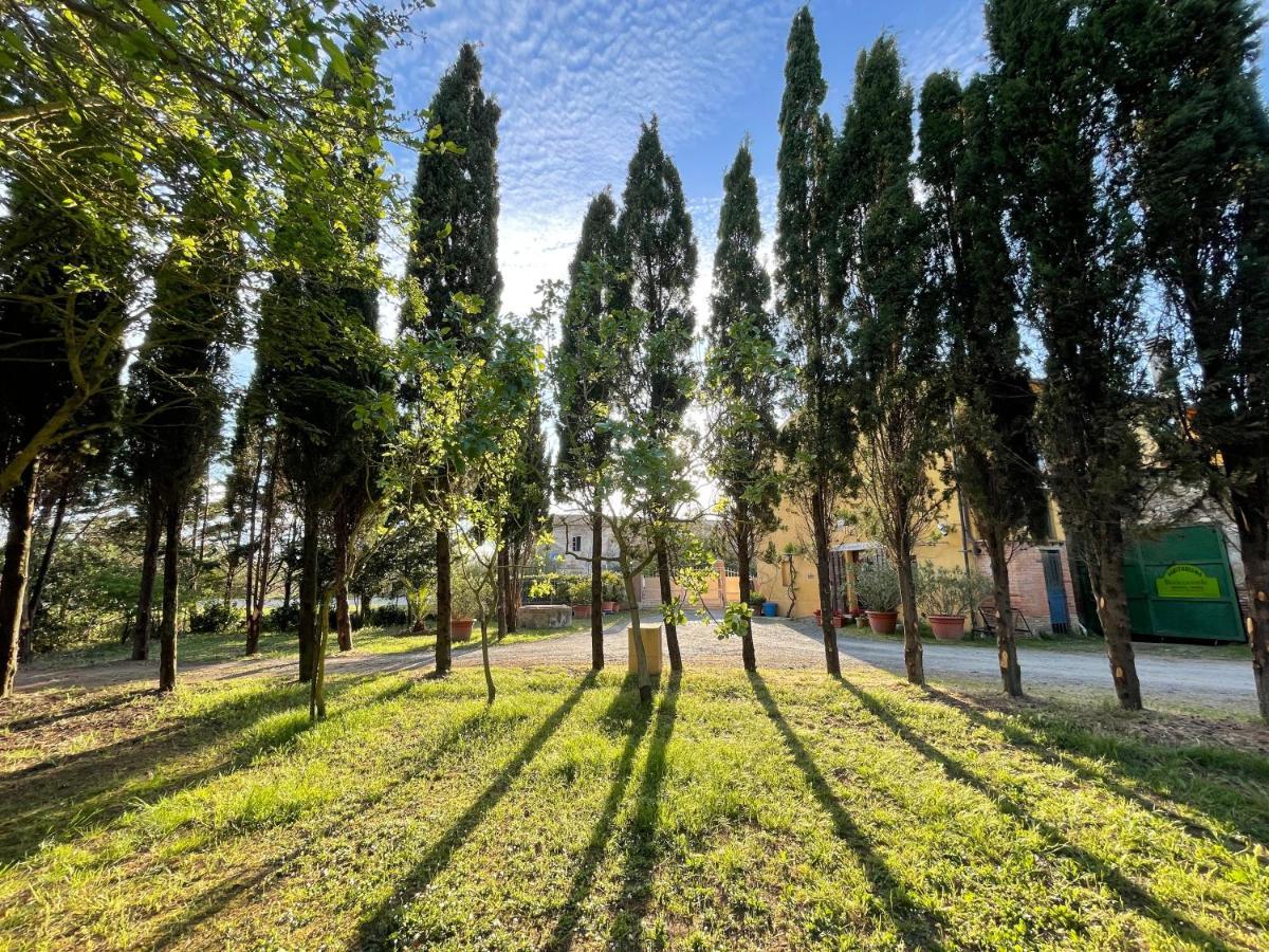 Agriturismo Le Biricoccole Vada Luaran gambar