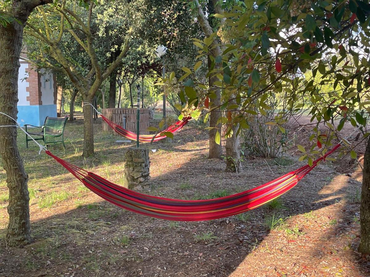 Agriturismo Le Biricoccole Vada Luaran gambar