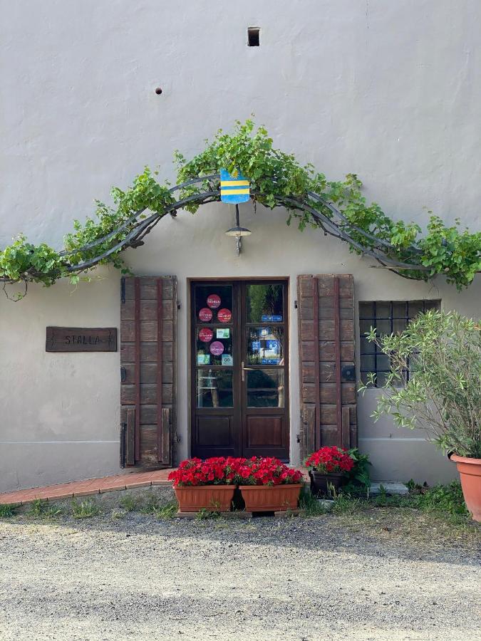 Agriturismo Le Biricoccole Vada Luaran gambar