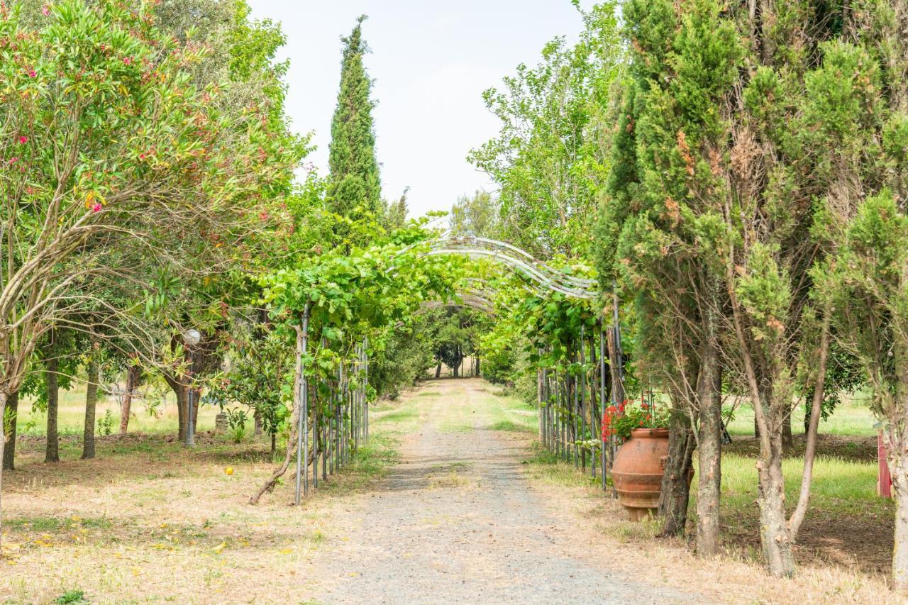 Agriturismo Le Biricoccole Vada Luaran gambar
