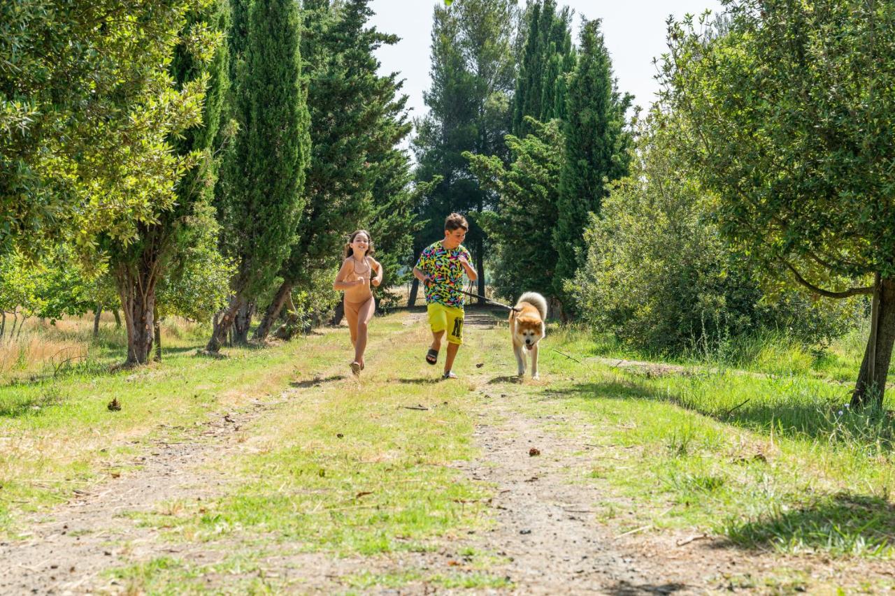 Agriturismo Le Biricoccole Vada Luaran gambar