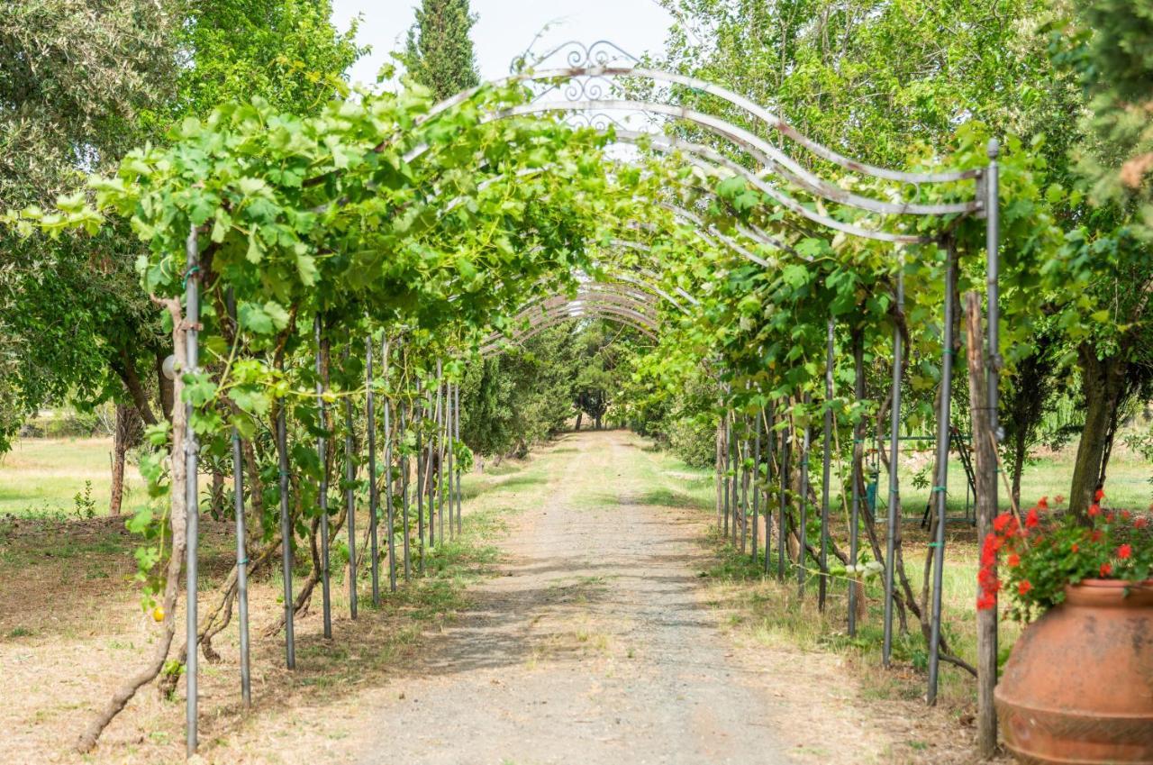 Agriturismo Le Biricoccole Vada Luaran gambar