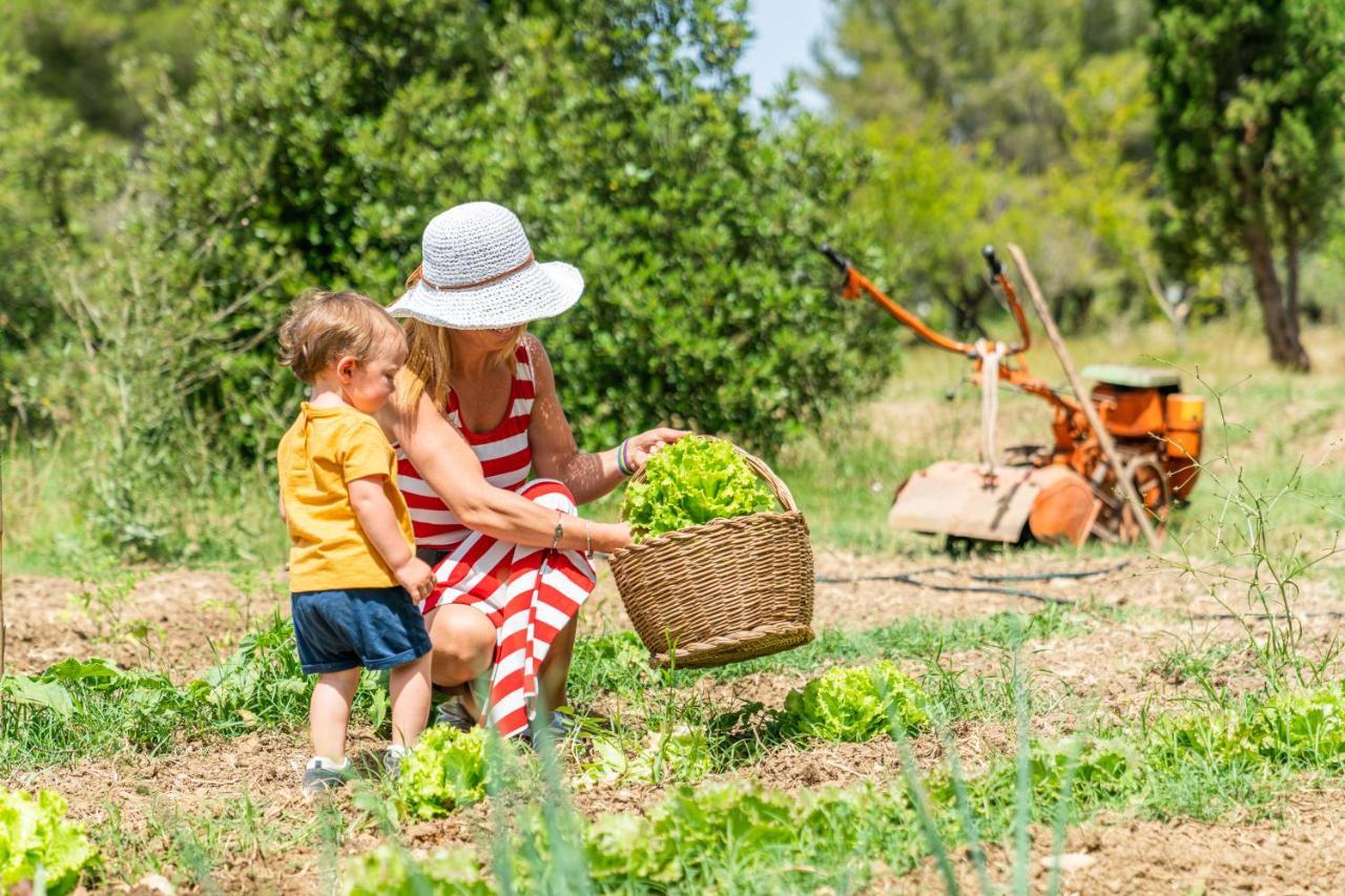 Agriturismo Le Biricoccole Vada Luaran gambar